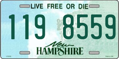 NH license plate 1198559