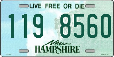 NH license plate 1198560