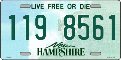 NH license plate 1198561