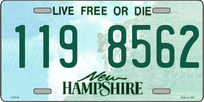 NH license plate 1198562