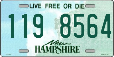 NH license plate 1198564