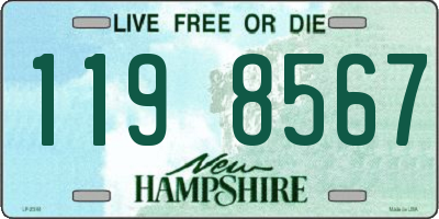 NH license plate 1198567
