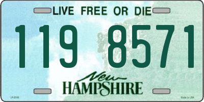 NH license plate 1198571