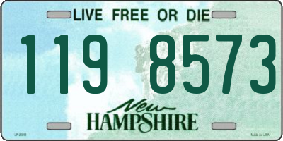 NH license plate 1198573