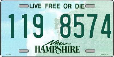 NH license plate 1198574