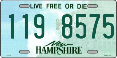 NH license plate 1198575