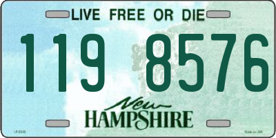 NH license plate 1198576