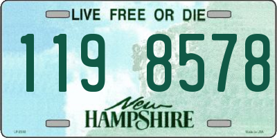 NH license plate 1198578