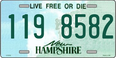 NH license plate 1198582