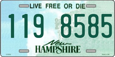 NH license plate 1198585