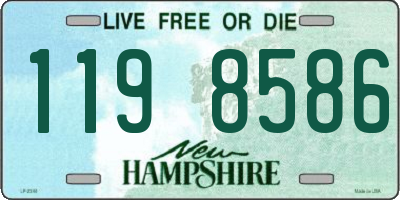 NH license plate 1198586