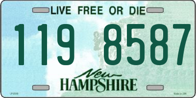 NH license plate 1198587