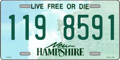 NH license plate 1198591