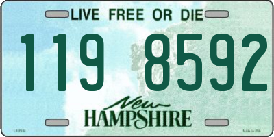 NH license plate 1198592