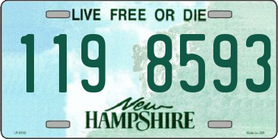 NH license plate 1198593