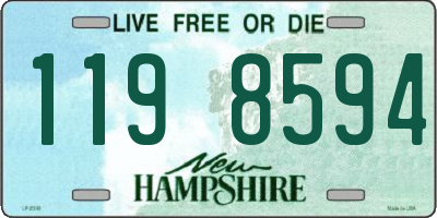 NH license plate 1198594