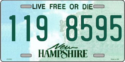 NH license plate 1198595