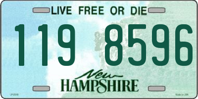 NH license plate 1198596