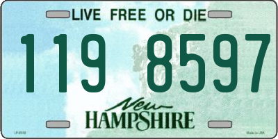 NH license plate 1198597