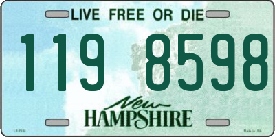 NH license plate 1198598