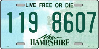 NH license plate 1198607
