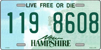 NH license plate 1198608