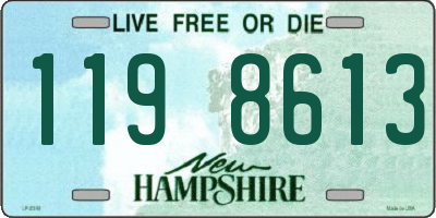 NH license plate 1198613