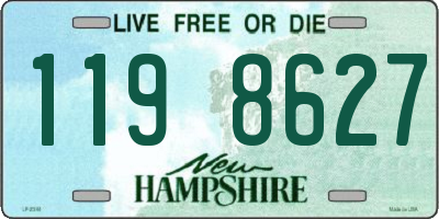 NH license plate 1198627
