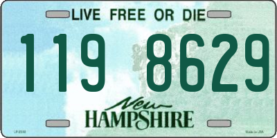 NH license plate 1198629