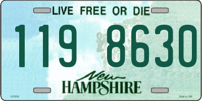 NH license plate 1198630