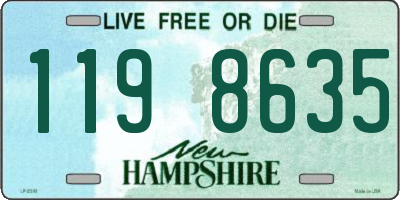 NH license plate 1198635