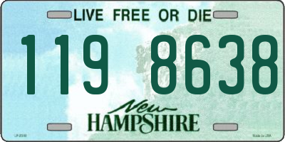 NH license plate 1198638
