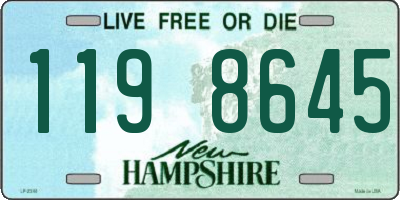 NH license plate 1198645