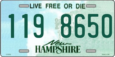 NH license plate 1198650