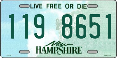 NH license plate 1198651