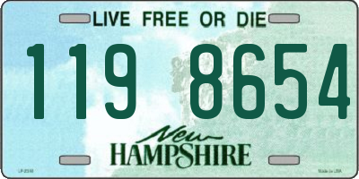 NH license plate 1198654