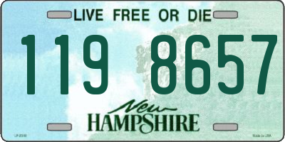 NH license plate 1198657