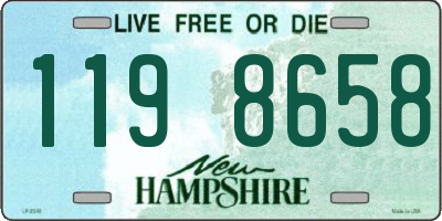 NH license plate 1198658
