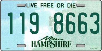 NH license plate 1198663