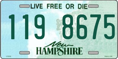 NH license plate 1198675