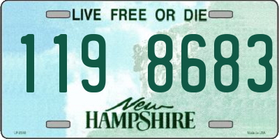 NH license plate 1198683