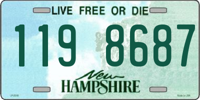 NH license plate 1198687
