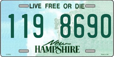 NH license plate 1198690