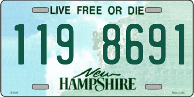 NH license plate 1198691