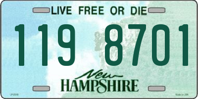 NH license plate 1198701