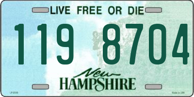 NH license plate 1198704
