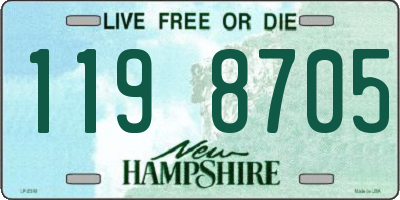 NH license plate 1198705