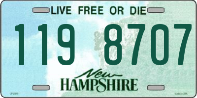 NH license plate 1198707