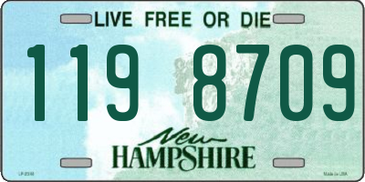 NH license plate 1198709