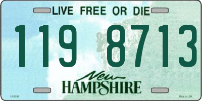NH license plate 1198713